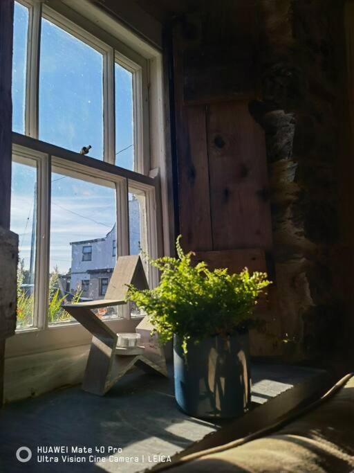 Brynglas Cottage With Hot Tub, Anglesey. Llanfachraeth Екстериор снимка